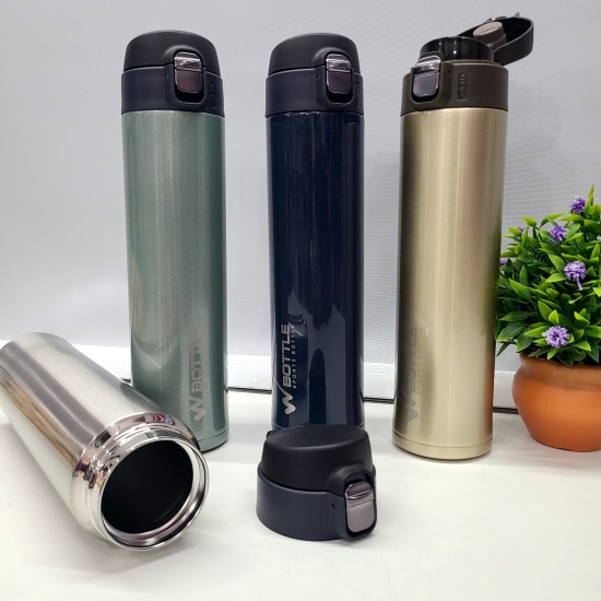 Premium Quality Stylish Insulated Water Bottle(750 ml)