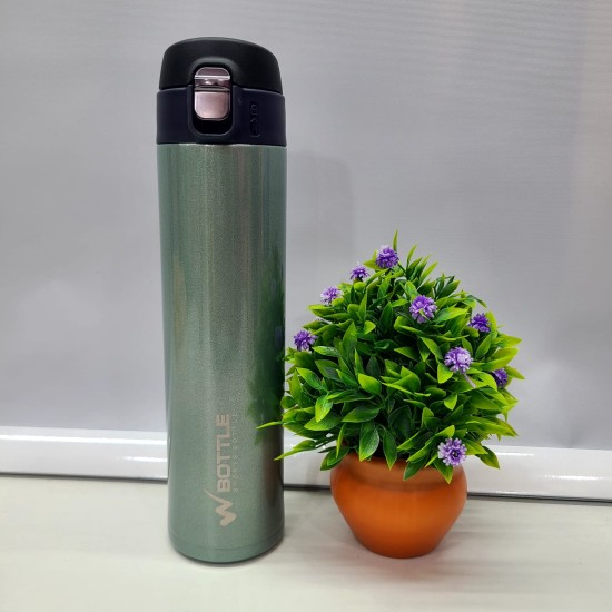 Premium Quality Stylish Insulated Water Bottle(750 ml)