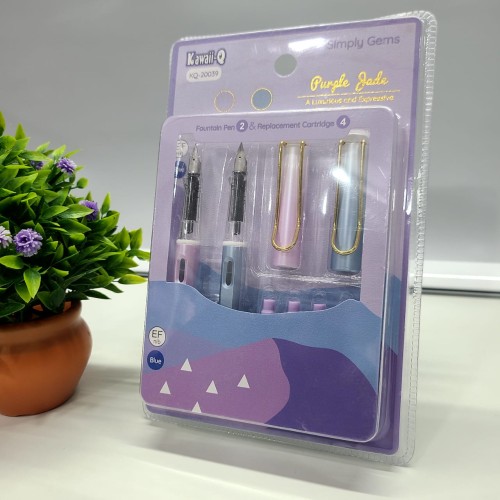 New Stylish Fountain Pen Set